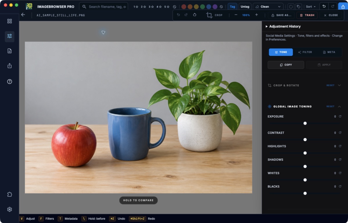 Actual ImageBrowserPro Tone editor with global image toning sliders. The photograph in the screenshot is an AI-generated practice image.