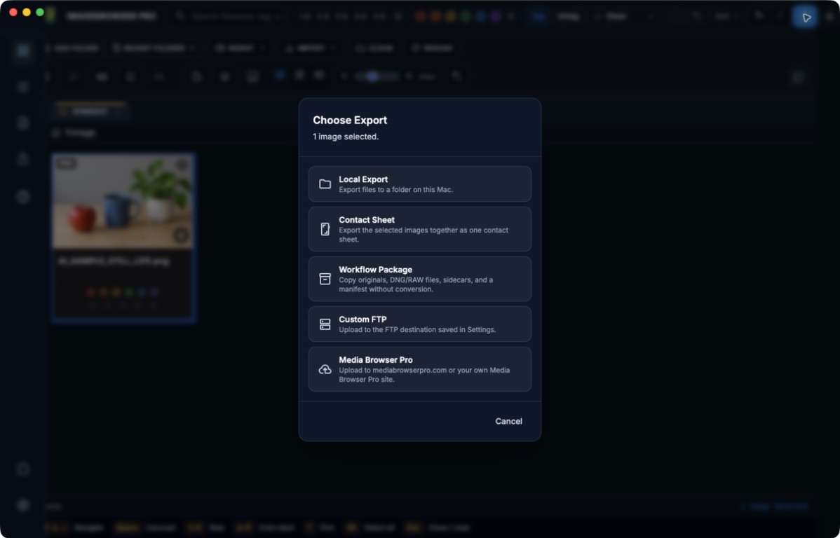 Actual ImageBrowserPro Choose Export dialog listing Local Export, Contact Sheet, Workflow Package, Custom FTP and Media Browser Pro