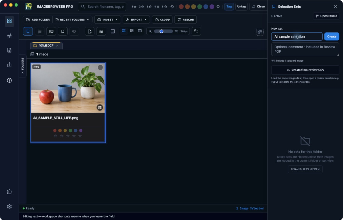Actual ImageBrowserPro Selection Sets panel with a sample set name and one selected image. The photograph in the screenshot is an AI-generated practice image.