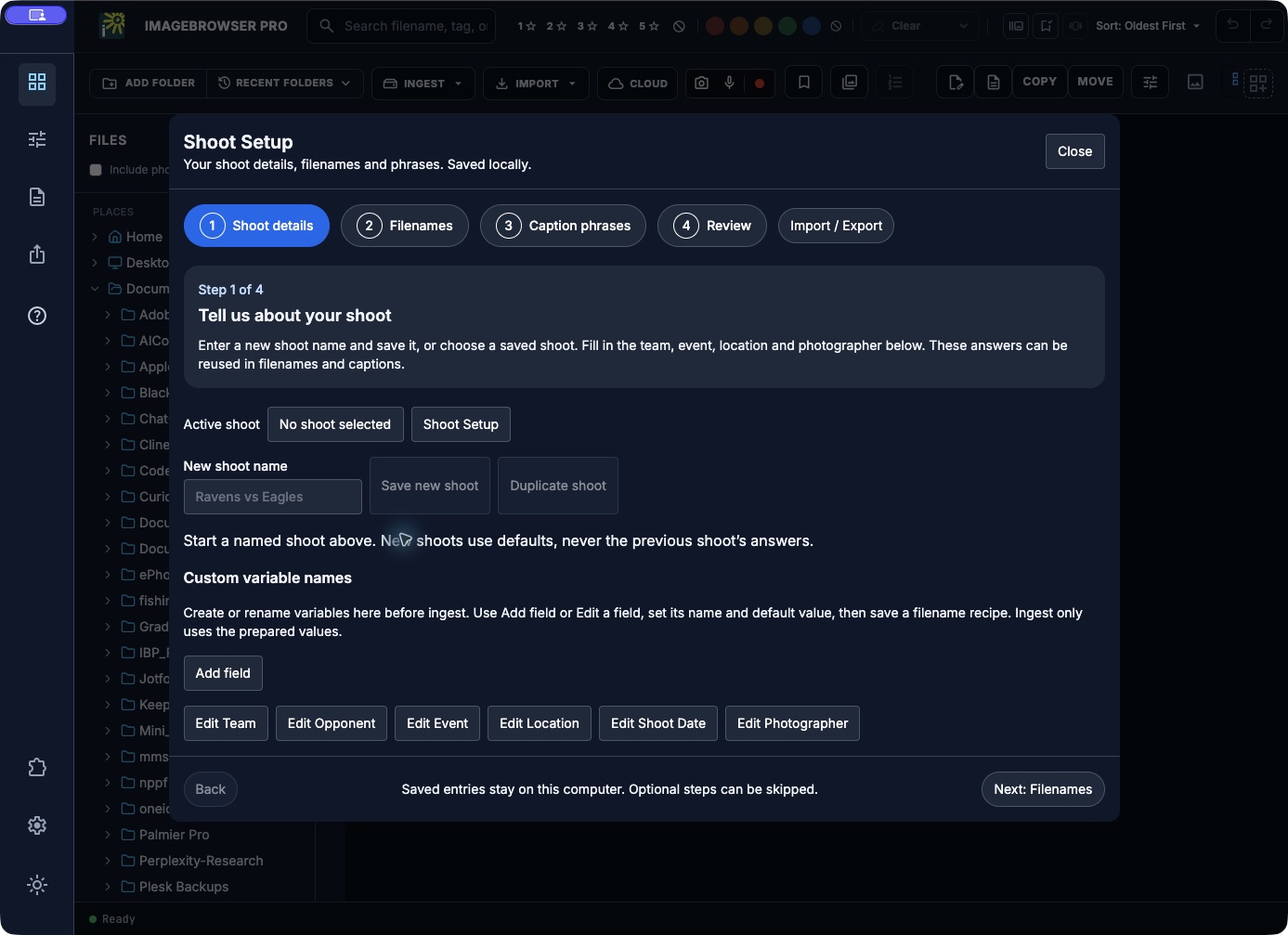 Actual ImageBrowserPro Shoot Setup window with four steps and a separate Import / Export area