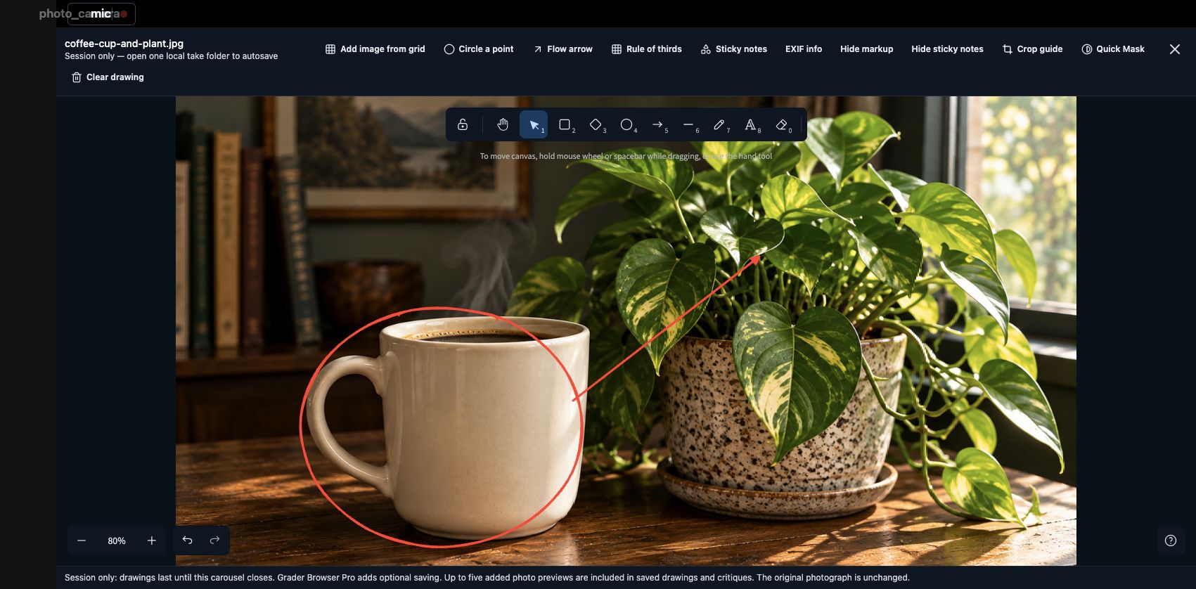 ImageBrowserPro Work Mode showing a red critique arrow from an AI-generated coffee cup toward a plant